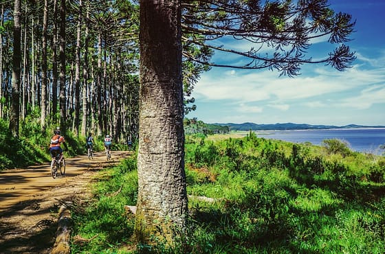 Scopri la Boemia occidentale su due ruote